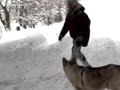 나무 발로 차보기