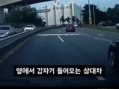 한문철 역대급 사이다 결말.mp4