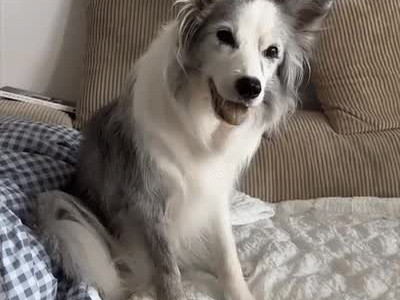 한글 모른다고 사기 당함