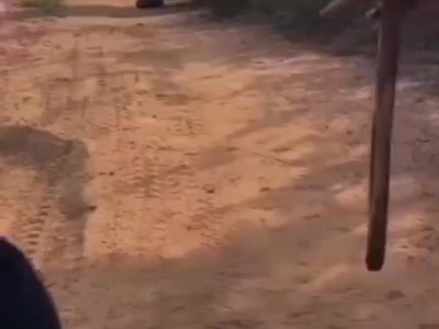 거대 코뿔소와 마주친 가이드의 행동