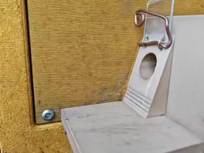 호박벌 여왕에게 보호문 사용법 교육시키기