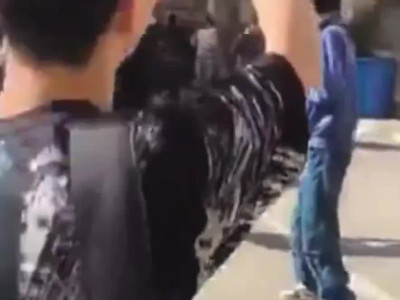 "아이러브 트럼프" 외치는 이란 고딩