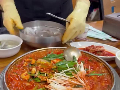 한국 와서 닭한마리 먹고 간 시노자키 아이