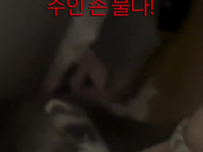 소중한 것은 물고 보금자리로 간다는 애완 족제비