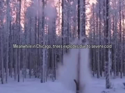 너무 추워서 나무가 폭발하는 미국