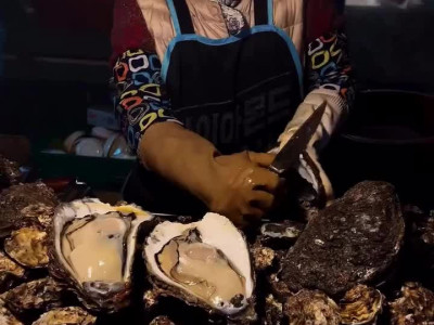 부산 굴포차 근황