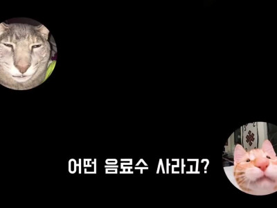 진짜로 나와버린 미에로 사이다ㅋㅋㅋㅋ