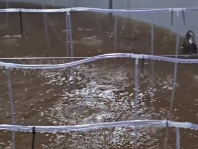 7년 투자 사업 촉법깡패 때문에 하루 아침에 망한 사람