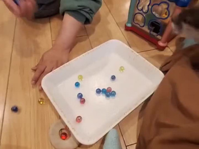 성격 지랄맞은 애완 수달 ㅋㅋㅋ