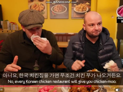 치킨 무를 먹어본 외국인들 반응
