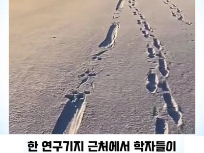 학자들이 보고 기겁한 발자국