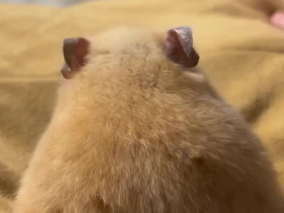 침대에 앉아서 폰하는 내 뒷모습