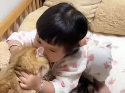 아기고양이들이 너무 귀여워서 행복한 아기