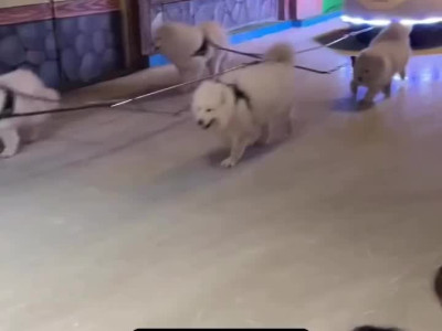 연말 사모펀드? 근황.JPG