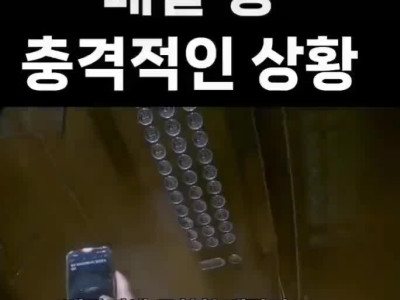 배달 중 쓰러진 여자를 발견한 배달기사 ㄷ