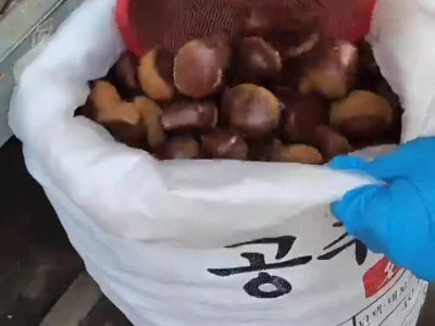 전통시장 인심 근황.mp4