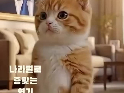 나라별 총맞는 연기