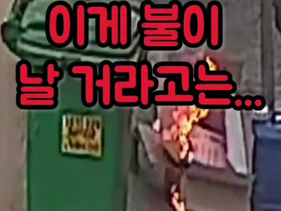 담배 꽁초에 큰불 날 뻔한 영상