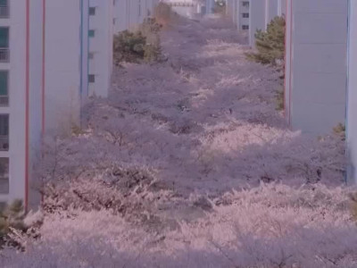 현재 한국서 가장 아름다운 아파트