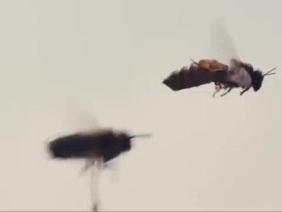 촬영감독이 10일이상 걸려서 겨우 찍은 장면