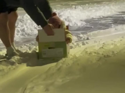 아기 눈썰매 영상 mp4