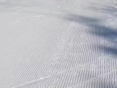 썰매 타는 댕댕이