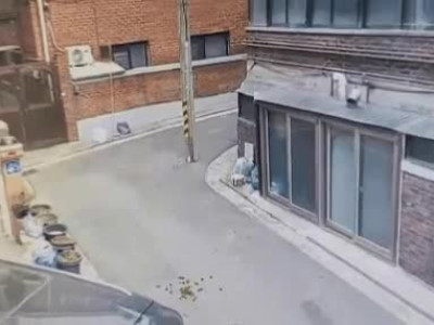 길가다가 얼룩말 만난썰 푼다.jpg