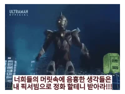 고양이 보러가는 만화