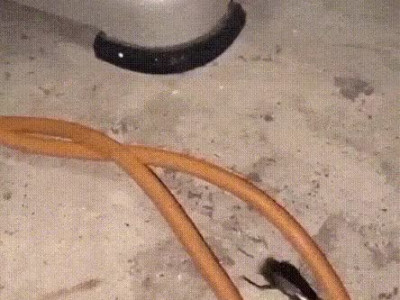 바퀴벌레의 여행 manhwa