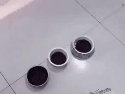 슈나우저 삼형제가 존나 싸우는 만화