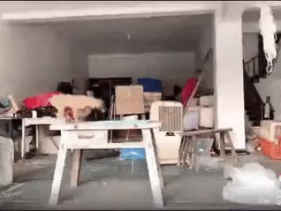 개들이 너무 지랄 옘병하는 만화