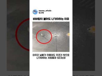 한밤중에도 꼭 나타나던 분들.ㅋ