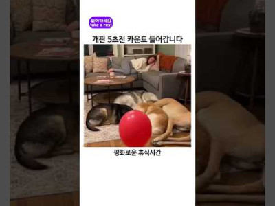 삼계탕이 총i어요