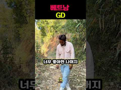 베트남 GD