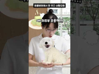 동물병원 웃긴 상황모음
