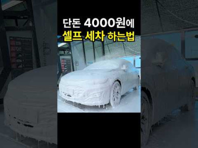 유튜버 카팁의 세차꿀팁(feat.낙지)