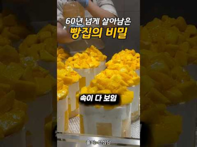 성심당 빵집의 안비밀