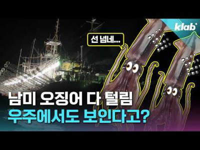 남미 오징어 다 털림 우주에서도 보인다고?