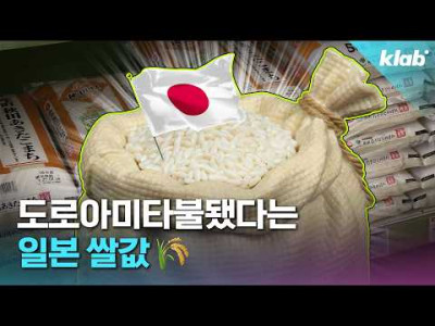 일본 쌀값, 이거 왜 다시 올라가는 거예요?