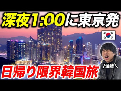 당일치기 한국여행하는 일본인