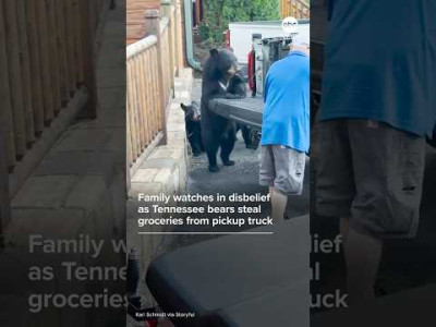 자식들 보는 앞에서 남의 음식을 훔친 어느 싱글맘