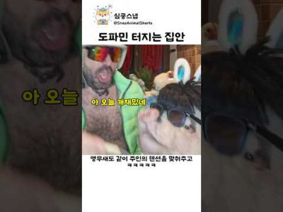 도파민 터지는 혼돈의 집안