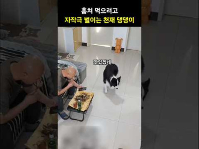 완벽한 범죄 현장